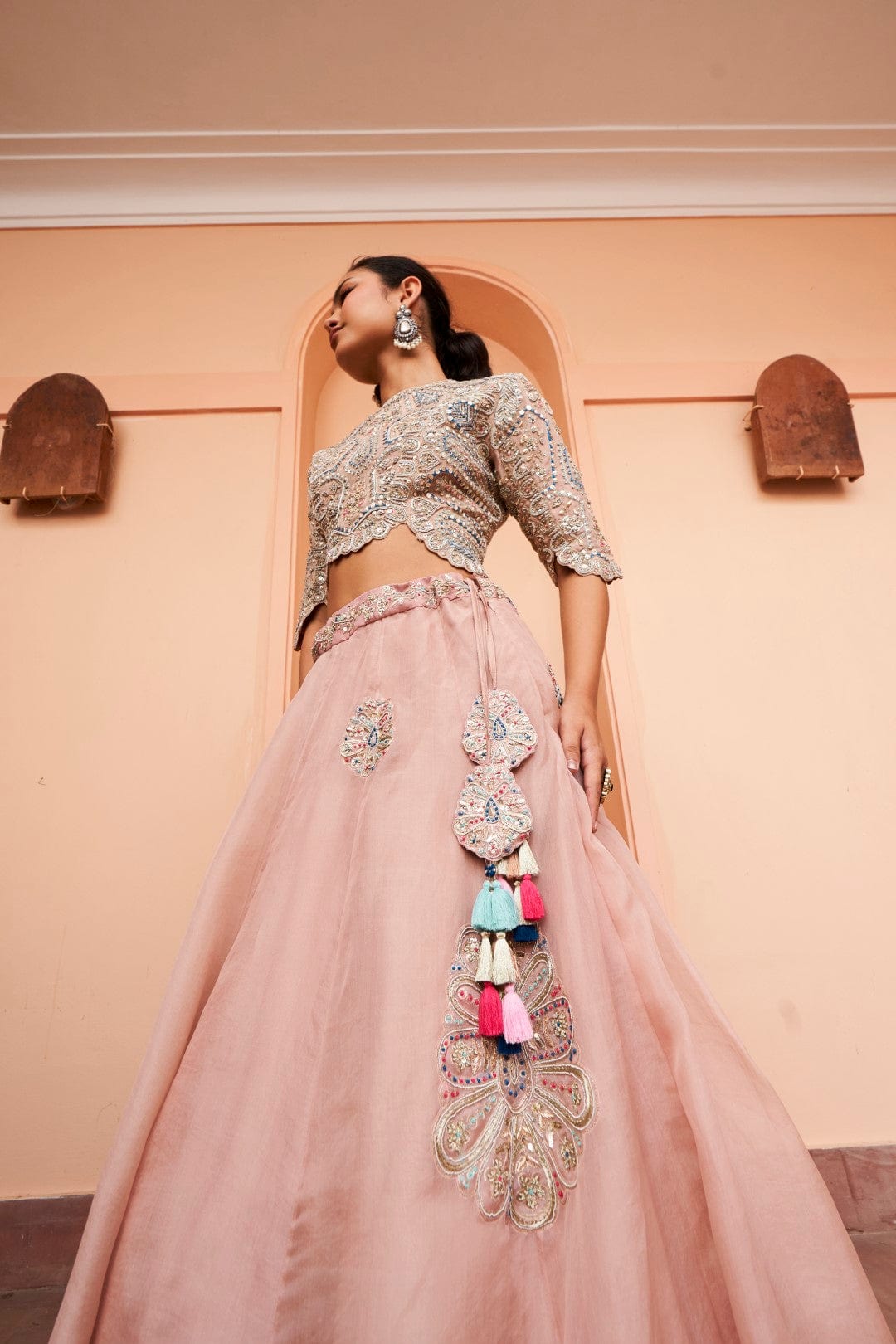 Tan Embroidered Lehenga Set